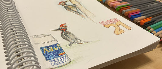 Doodle Woodpeckers get Headaches?